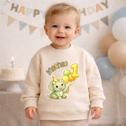 Personalisierter Baby & Kinder Pullover Geburtstag Dino